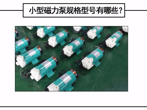 小型磁力泵規(guī)格型號(hào)有哪些？