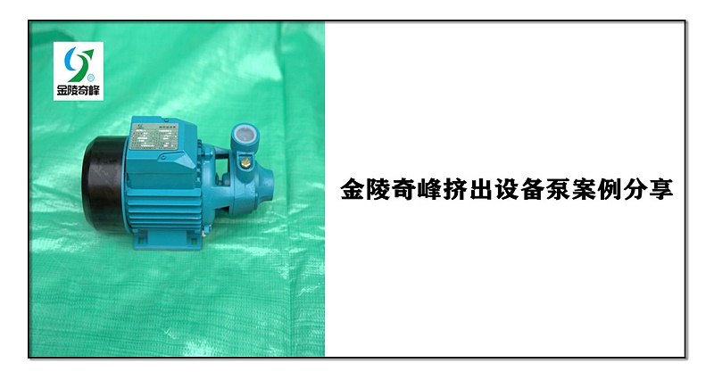 金陵奇峰擠出設(shè)備泵案例分享