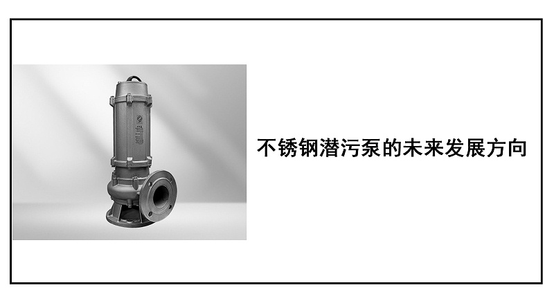 不銹鋼潛污泵的未來發(fā)展方向副本