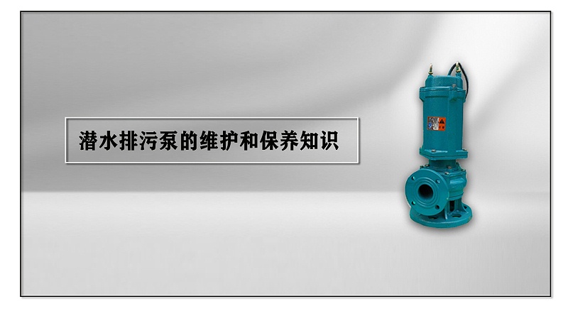 潛水排污泵的維護(hù)和保養(yǎng)知識