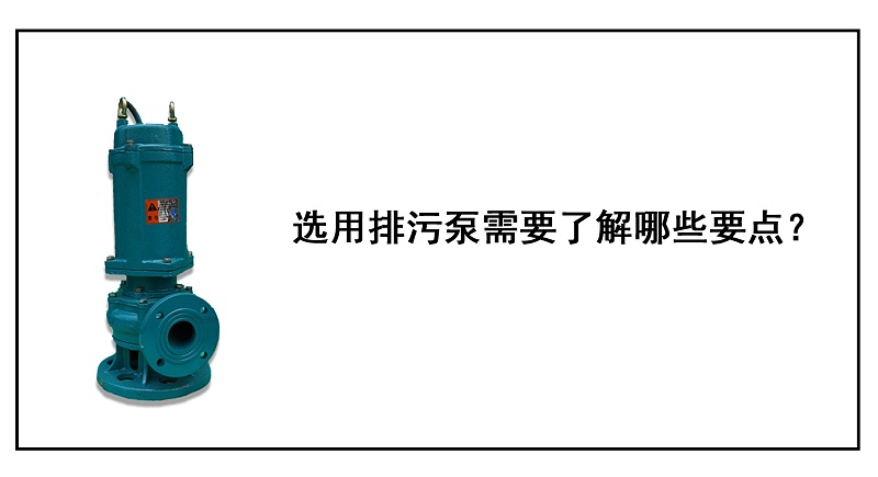 選用排污泵需要了解哪些要點？